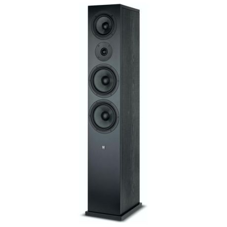 SEVEN BLACK OAK