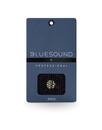 Bluesound Professional B160S