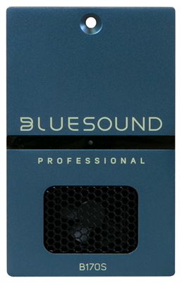 Bluesound Professional B170S