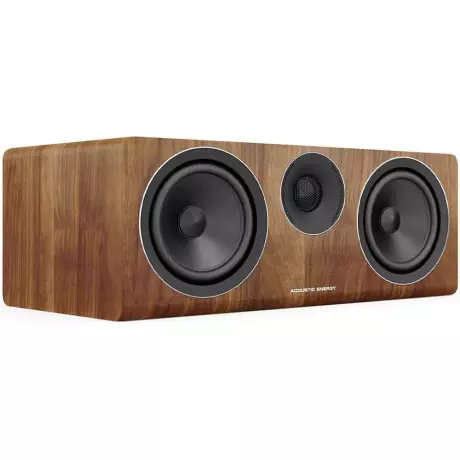 Acoustic Energy AE307
