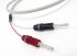 Chord Cable Rumour X 2x3,0m Chord Ohmic