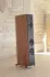 Acoustic Energy Corinium Teac