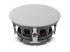 Focal  1000 ICA 6  1kus
