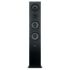 SEVEN BLACK OAK