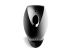 Focal  SIB EVO 5.1  1kus