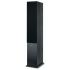 SEVEN BLACK OAK