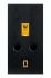CLASSIC BLACK OAK