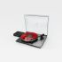 Rega Planar 3 RS Edition
