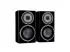 Monitor Audio Platinum 100 3G piano ebony