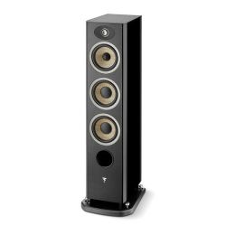 Focal  ARIA EVO X N°2 BLACK HIGH GLOSS  1kus