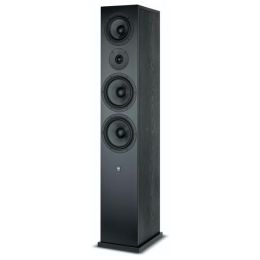 SEVEN BLACK OAK