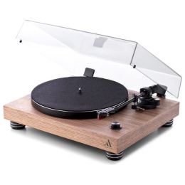 TT-4 WALNUT