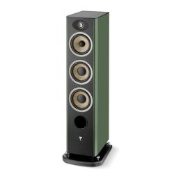 Focal  ARIA EVO X N°2 MOSS GREEN HIGH GLOSS  1kus