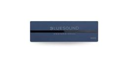 Bluesound Professional Bluesound Professional B100S