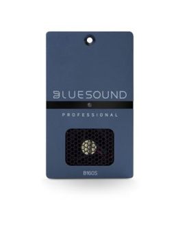 Bluesound Professional Bluesound Professional B160S