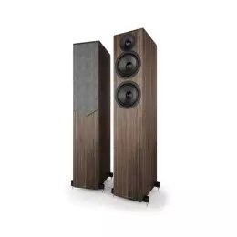 Acoustic Energy AE309 Mk2
