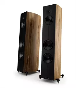 Acoustic Energy Corinium Teac